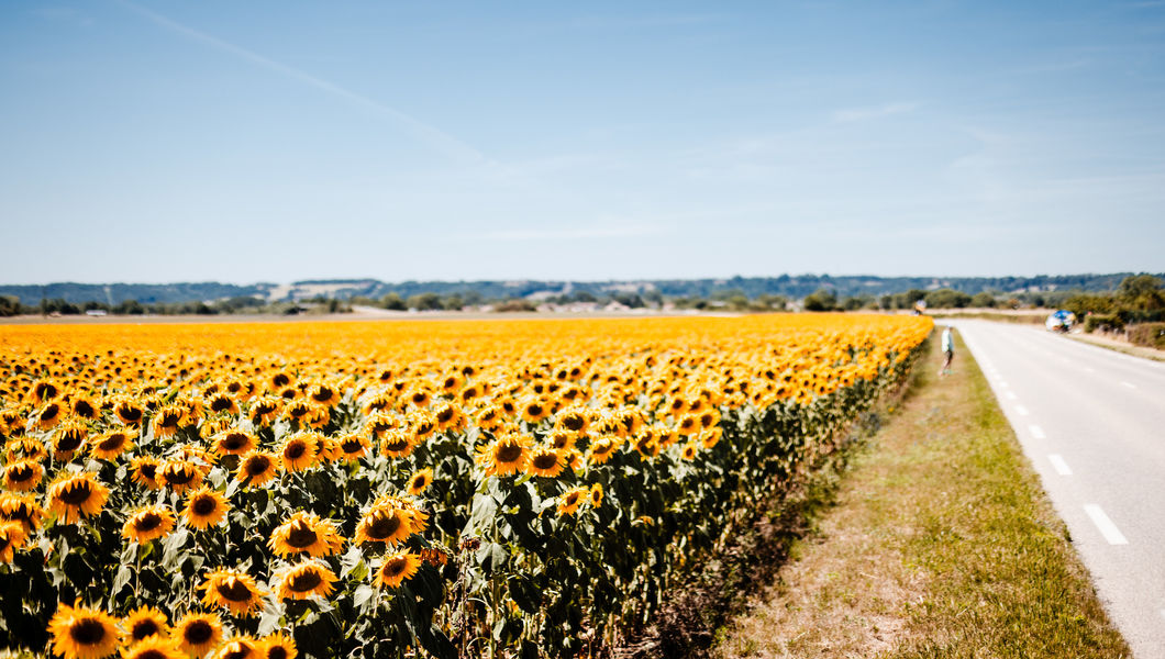 Deadline zomer verzoeken